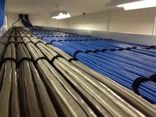 <strong>Ontario, CA - </strong>CAT6 and Avaya PBX installation