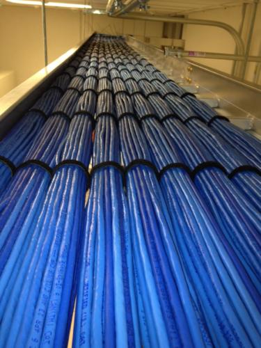 <strong>San Jose, CA -</strong> CAT6 cabling, LAB build